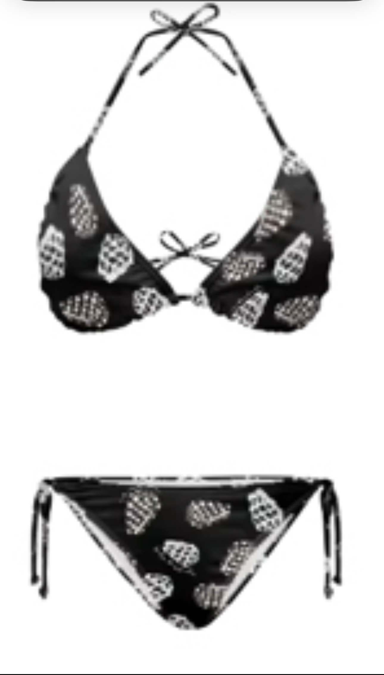 Preorder Hebrew Cone Shell 2pc Bikini